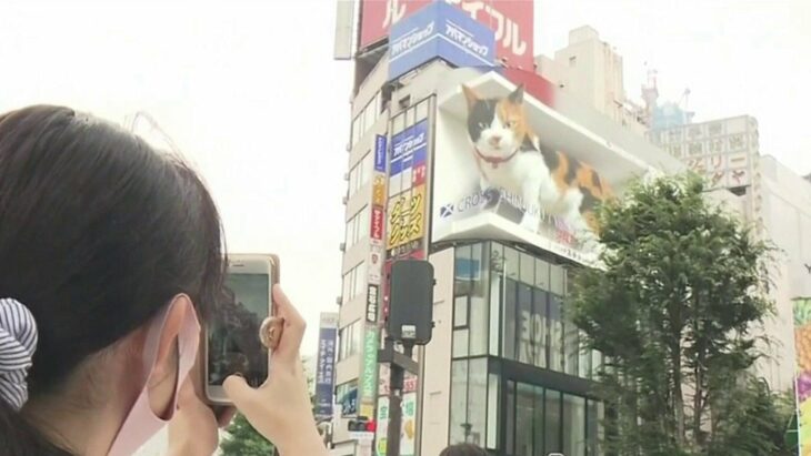 Valla publicitaria que muestra a un gato hiperrealista en 3D