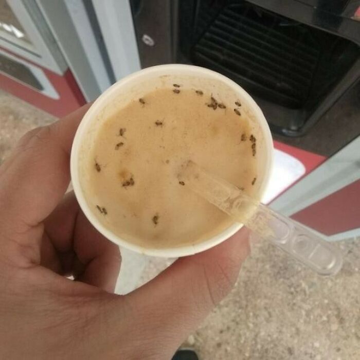 Platillos de comida que son extraños