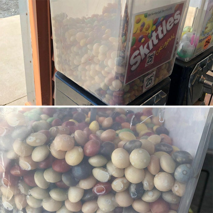 Platillos de comida que son extraños