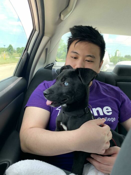 Mascotas que fueron adoptadas y viven felices
