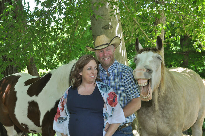 Caballo riendo en plena sesión de fotos ;Caballito interrumpe sesión de maternidad y su sonrisa hace reír a todo internet