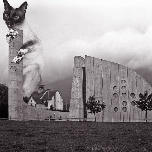 Gatito sobre un edificio ;Cuenta de Instagram combina arquitectura con gatitos y el resultado te hará ronronear