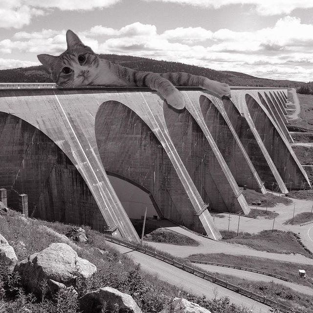 Gatito recostado en un puente ;Cuenta de Instagram combina arquitectura con gatitos y el resultado te hará ronronear