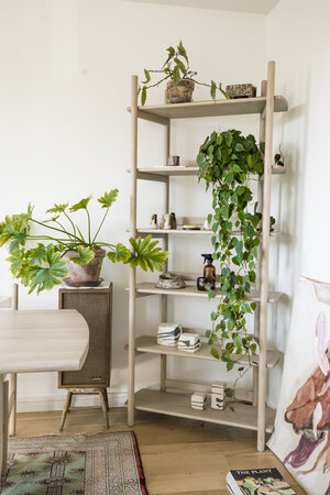 Plantas decorando un espacio en la casa