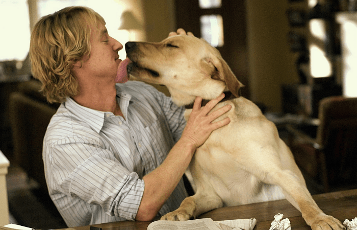 Marley And Me