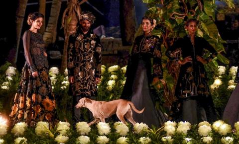 Perrito caminando en un desfile de modas 