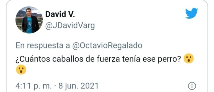 meme de perrito ;Perrito atropella a hombre que cruzaba la calle y se desata la memiza en redes