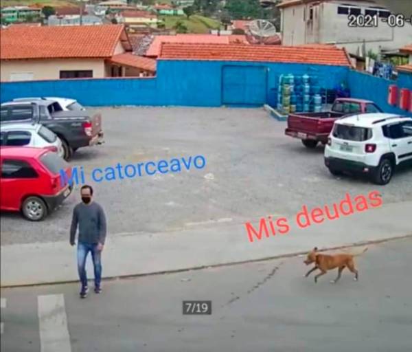 meme de perrito ;Perrito atropella a hombre que cruzaba la calle y se desata la memiza en redes