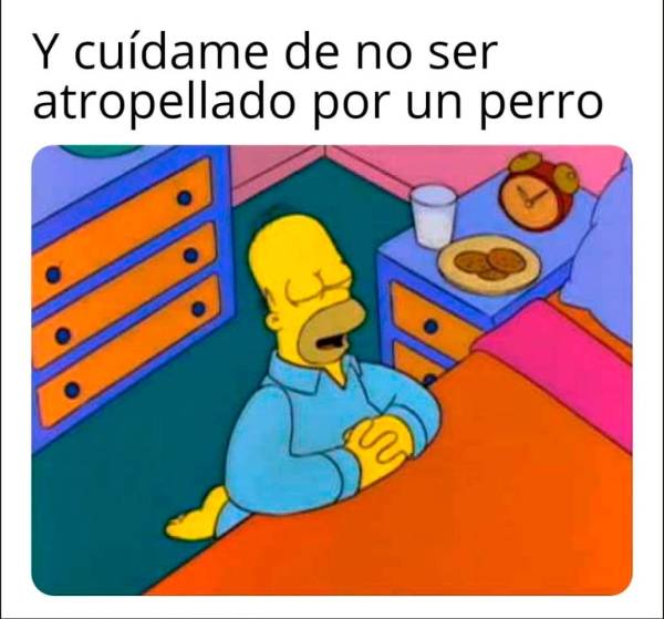 meme de perrito ;Perrito atropella a hombre que cruzaba la calle y se desata la memiza en redes