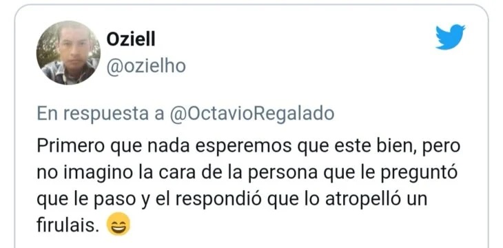 meme de perrito ;Perrito atropella a hombre que cruzaba la calle y se desata la memiza en redes