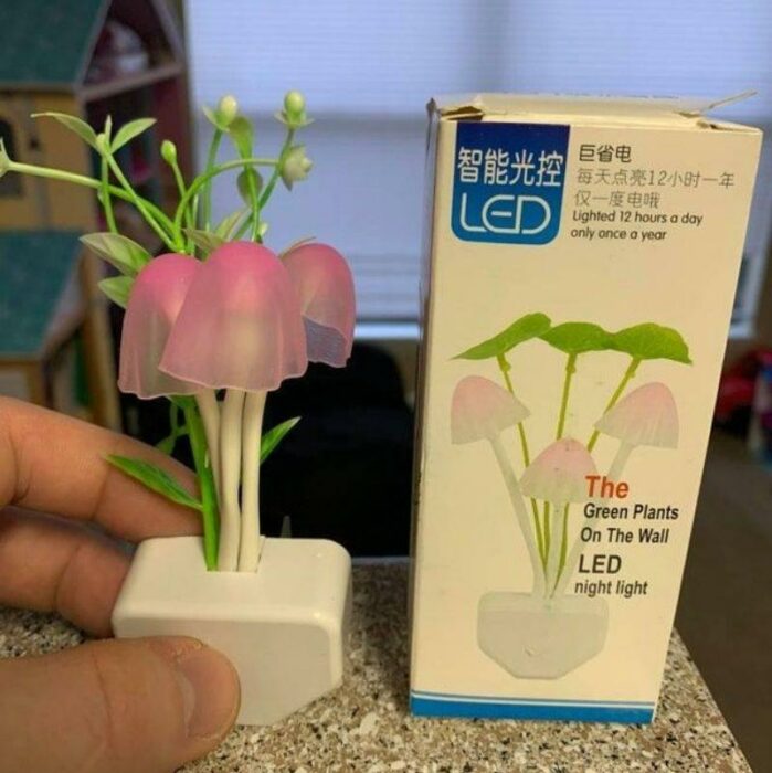 lamparas en forma de flores ;15 Veces en las que la realidad superó las expectativas