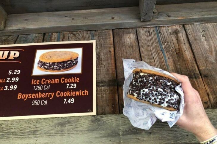 sandwich de helado de vainilla ;15 Veces en las que la realidad superó las expectativas