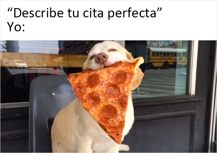 memes de perritos que reflejan lo que es tener un amigo de 4 patas 