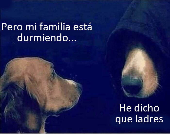 memes de perritos que reflejan lo que es tener un amigo de 4 patas 