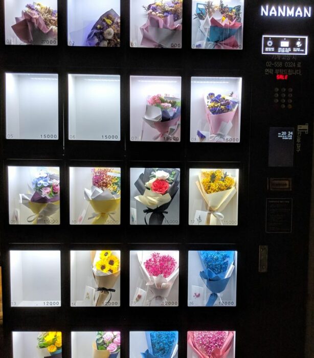 Una máquina expendedora de flores ;18 Pruebas de que Corea del Sur es un lugar increíble para vacacionar