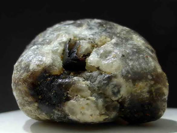 Piedra de ámbar gris que fue encontrado en una ballena