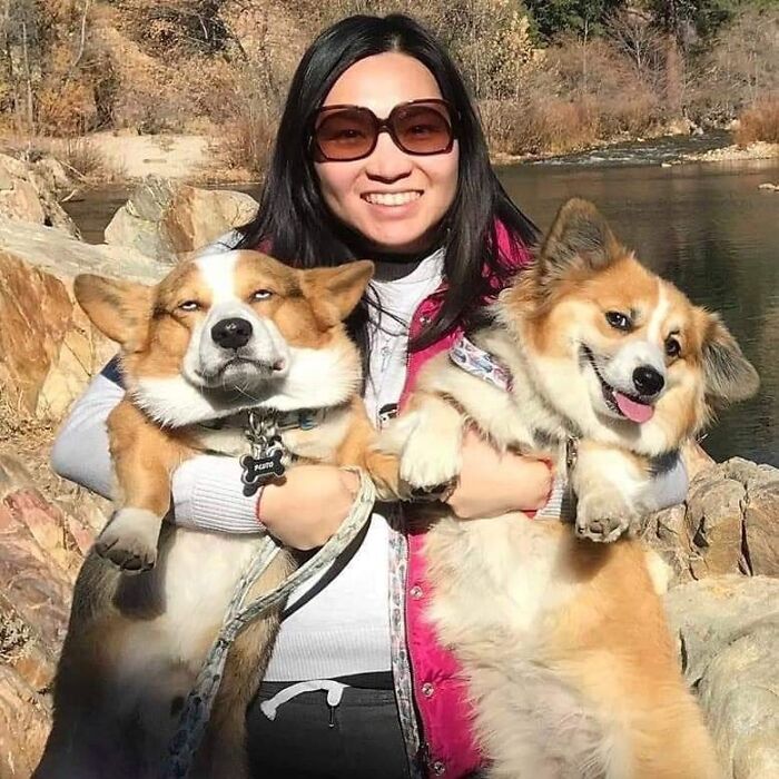 mujer sujetando a sus perros ;18 Animalitos que te alegrarán la vida con su existencia