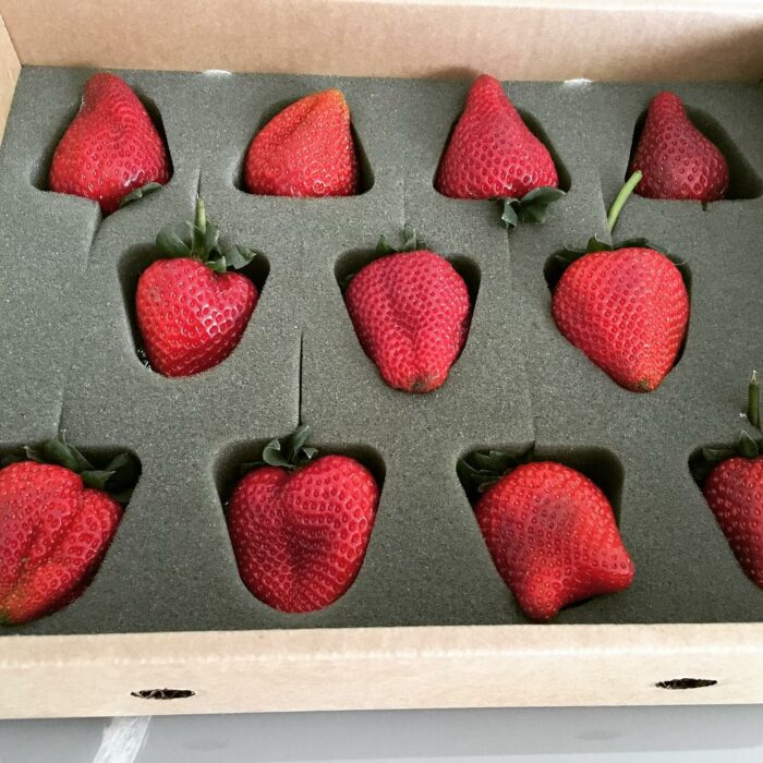 Fresas envueltas en plástico