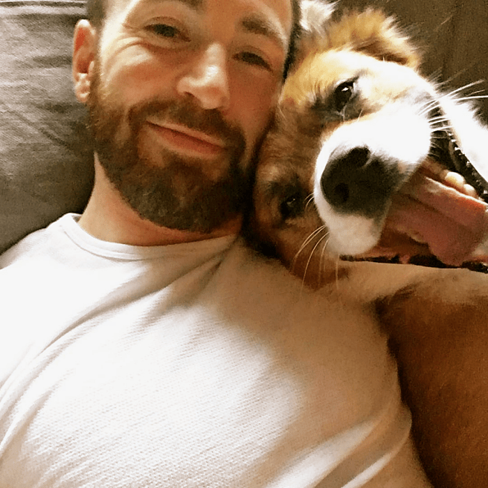 Chris Evans y su perrito Dodger