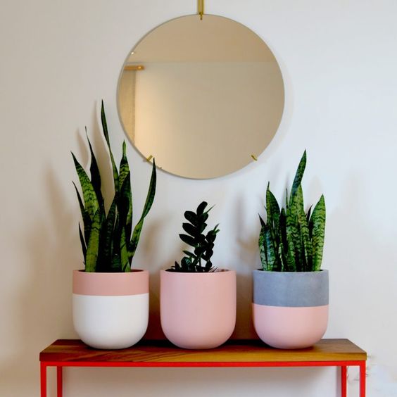 Macetas bicolor ;14 Macetas aesthetic para que tus plantas se ven bien chulas