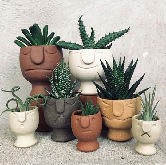Macetas en forma de tribu ;14 Macetas aesthetic para que tus plantas se ven bien chulas