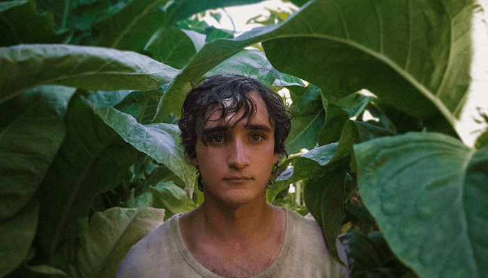 Happy as Lazzaro (2018, Alice Rohrwacher)