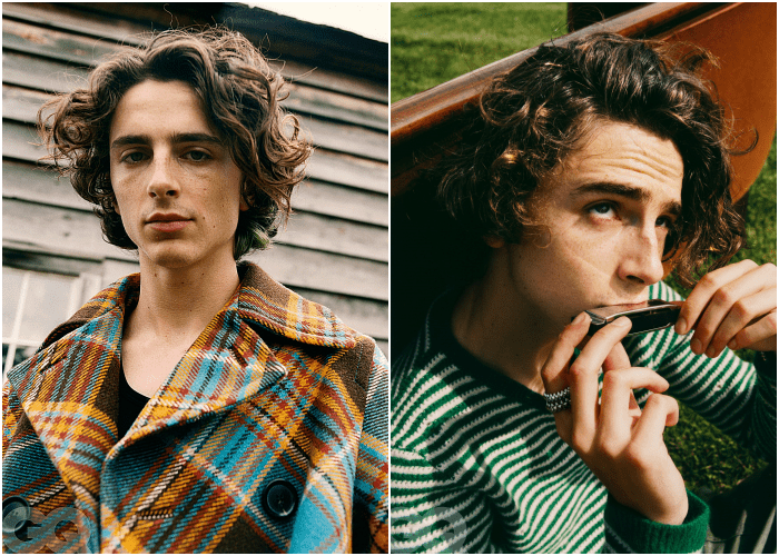 Timothée Chalamet