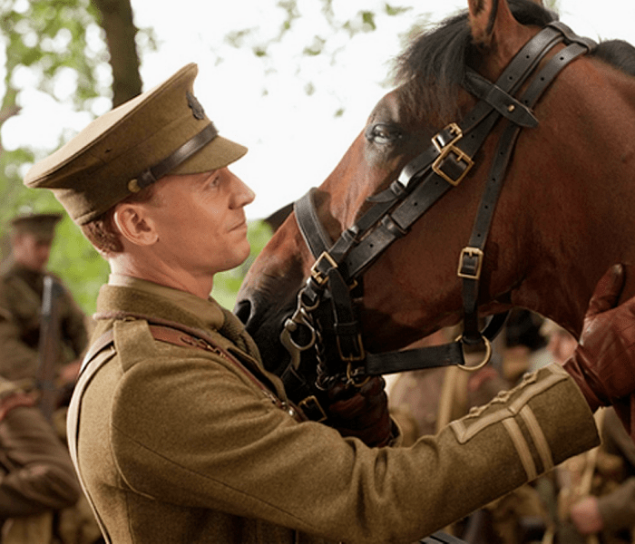 War Horse