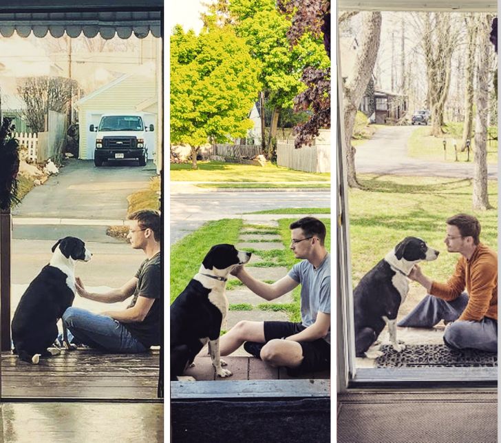 perro junto a su dueño; 14 Perros y gatos que han envejecido junto a sus dueños