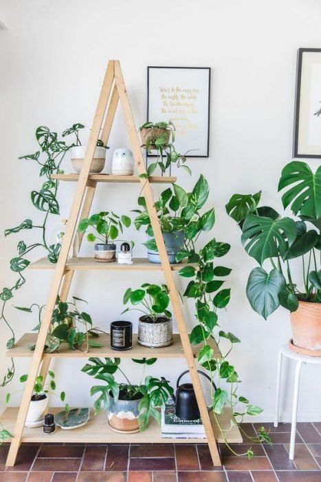 planta enredada en una escalera ;13 Ideas para decorar tu depa con tantas plantas como desees