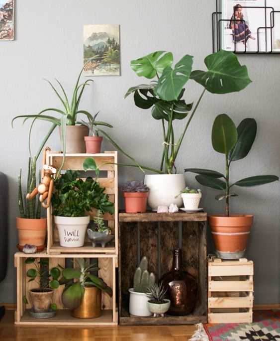 plantas decorativas sobre rejas ;13 Ideas para decorar tu depa con tantas plantas como desees