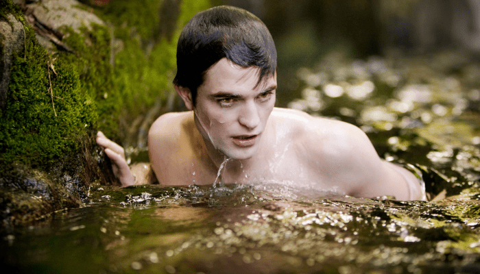 Breaking Dawn Part 2
