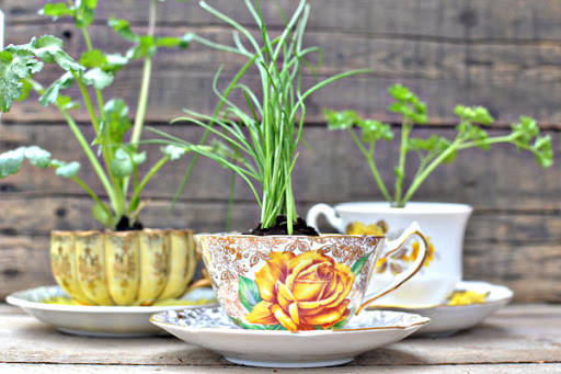 Maceta decorada con tazas rotas; Ideas para crear tus propias macetas