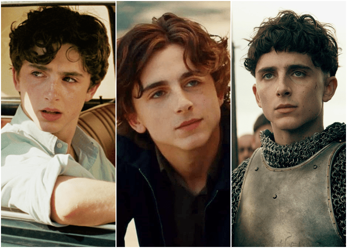 Timothée Chalamet en películas