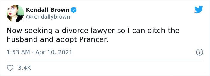 Comentarios en twitter sobre Prancer, el perrito que siempre está enojado 