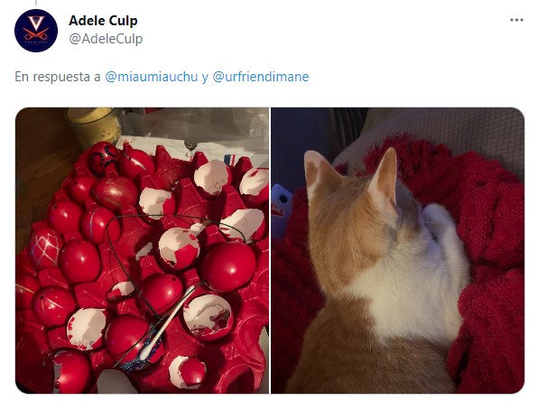 Publicación en twitter de gatitos atrapados destruyendo cosas