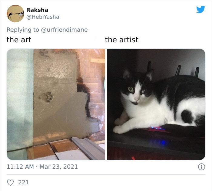 Publicación en twitter de gatitos atrapados destruyendo cosas