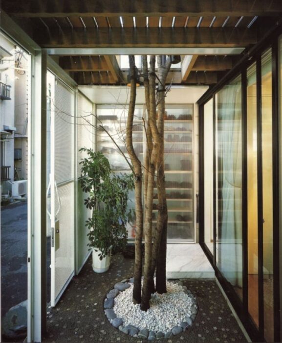 árboles dentro de un pasillo de una casa; 12 Pruebas de que la naturaleza puede ser la mejor amiga de la arquitectura