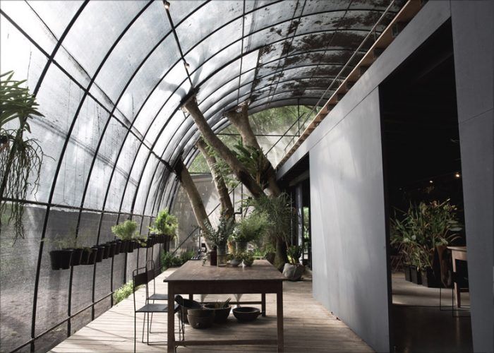 árbol cruzando una cúpula; 12 Pruebas de que la naturaleza puede ser la mejor amiga de la arquitectura