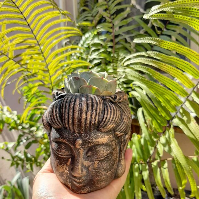 Maceta en forma de cabeza de Buda, color negro con dorado