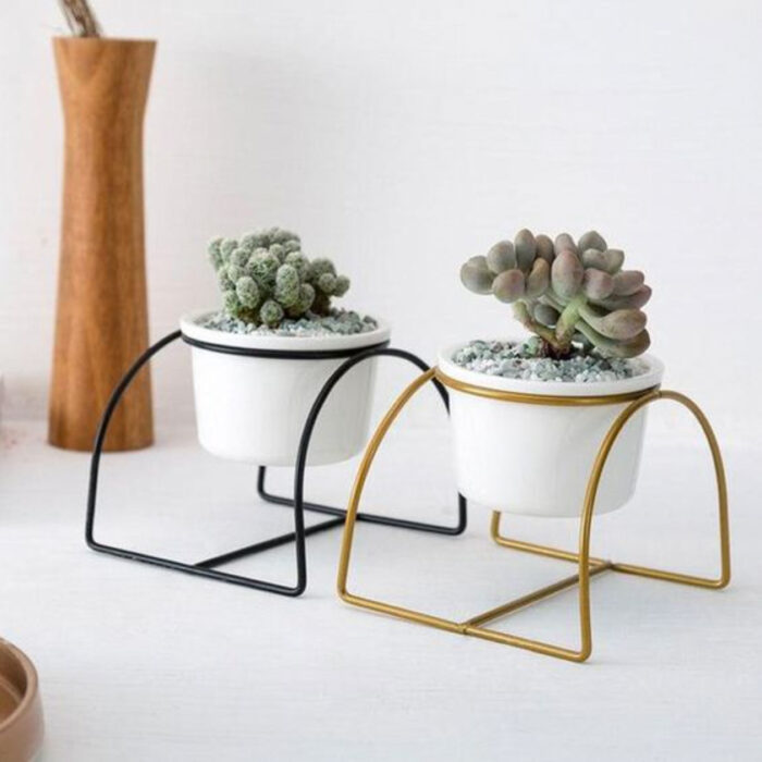 Macetas pequeñas para suculentas de color blanco con pedestal negro y dorado