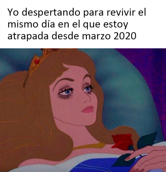 Meme sobre el primer año de la pandemia