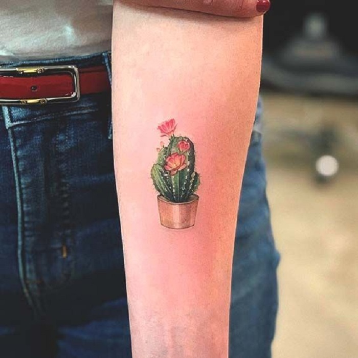 Tatuaje de flores en el antebrazo mostrando un cactus en su maceta
