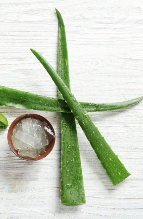 Áloe vera para tónico facial