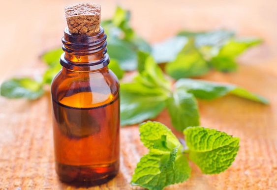 Tónico de menta con vinagre
