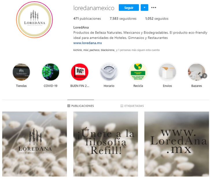 Perfil de Instagram de LoredAna, marca mexicana de productos de belleza
