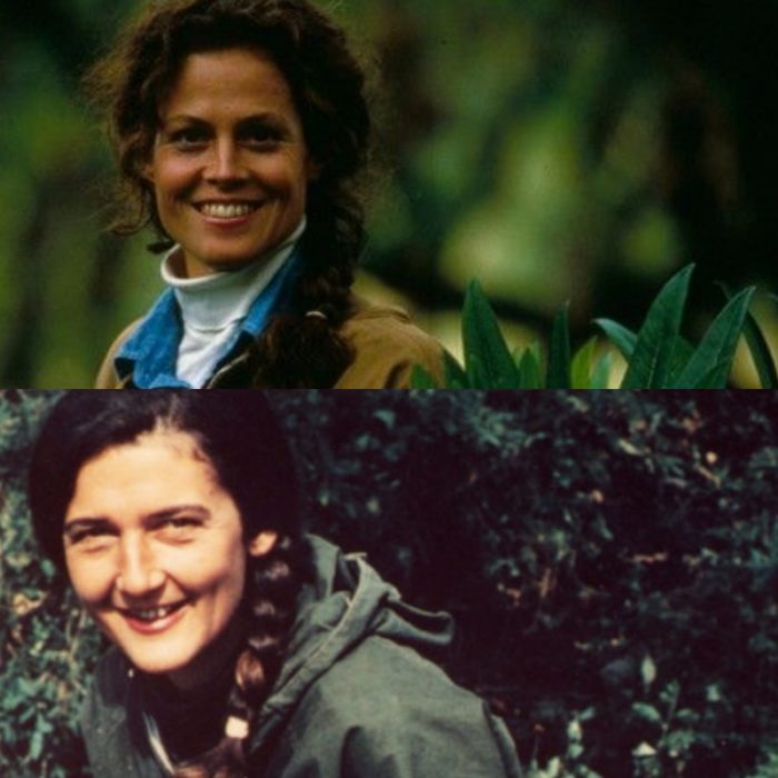 actriz sigourney weaver como dian fossey