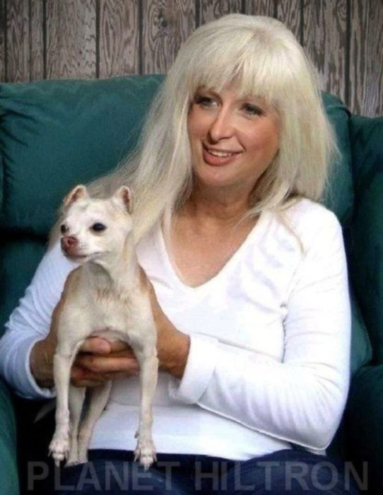 Paris Hilton caracterizada como una mujer adulta con cabello platinado y sosteniendo un perro chihuahua