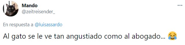 Tuit sobre abogado que quedó atrapado en un filtro de Zoom durante una audiencia