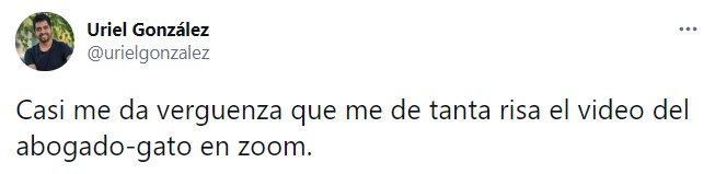 Tuit sobre abogado que quedó atrapado en un filtro de Zoom durante una audiencia